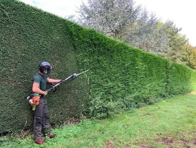 Tree work in Suffolk