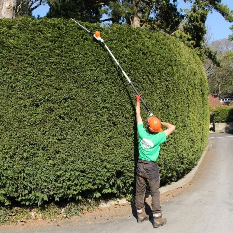 Tree care in Suffolk