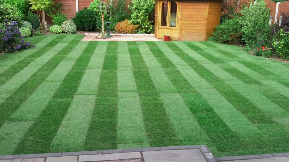 Tree cutting Suffolk